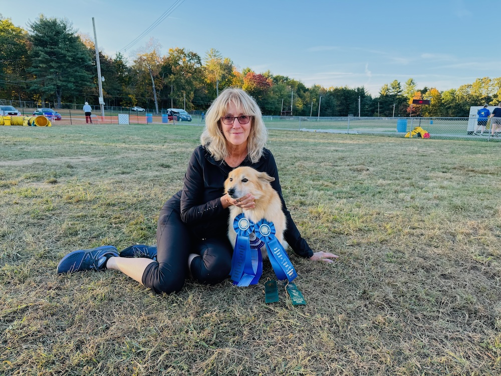 Paula E Sanderson President Telstar Consulting Inc with Freyja at an Agility Trial