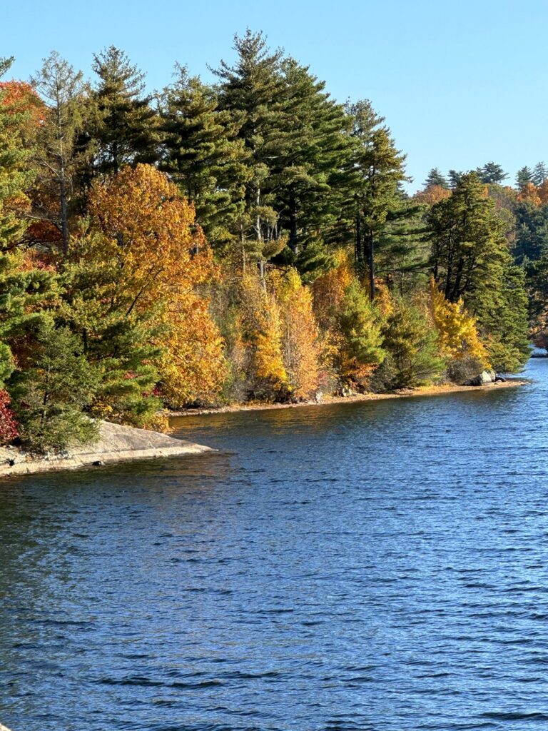 telstar about lake autumn telstar about lake autumn